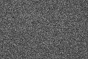 Ковролин AW Terra 98 фото  | FLOORDEALER